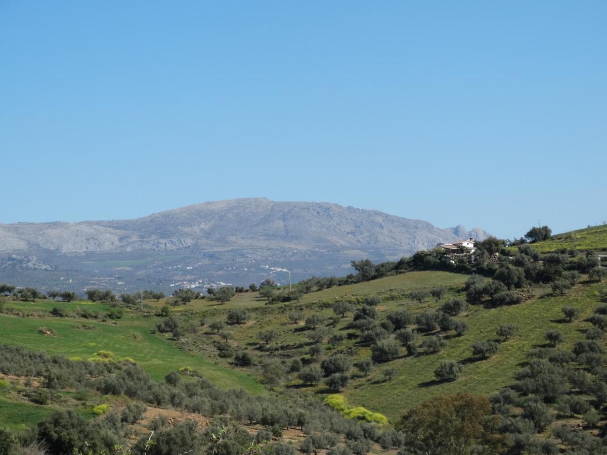 B&B Cortijo Loma Leon Cutar Dış mekan fotoğraf