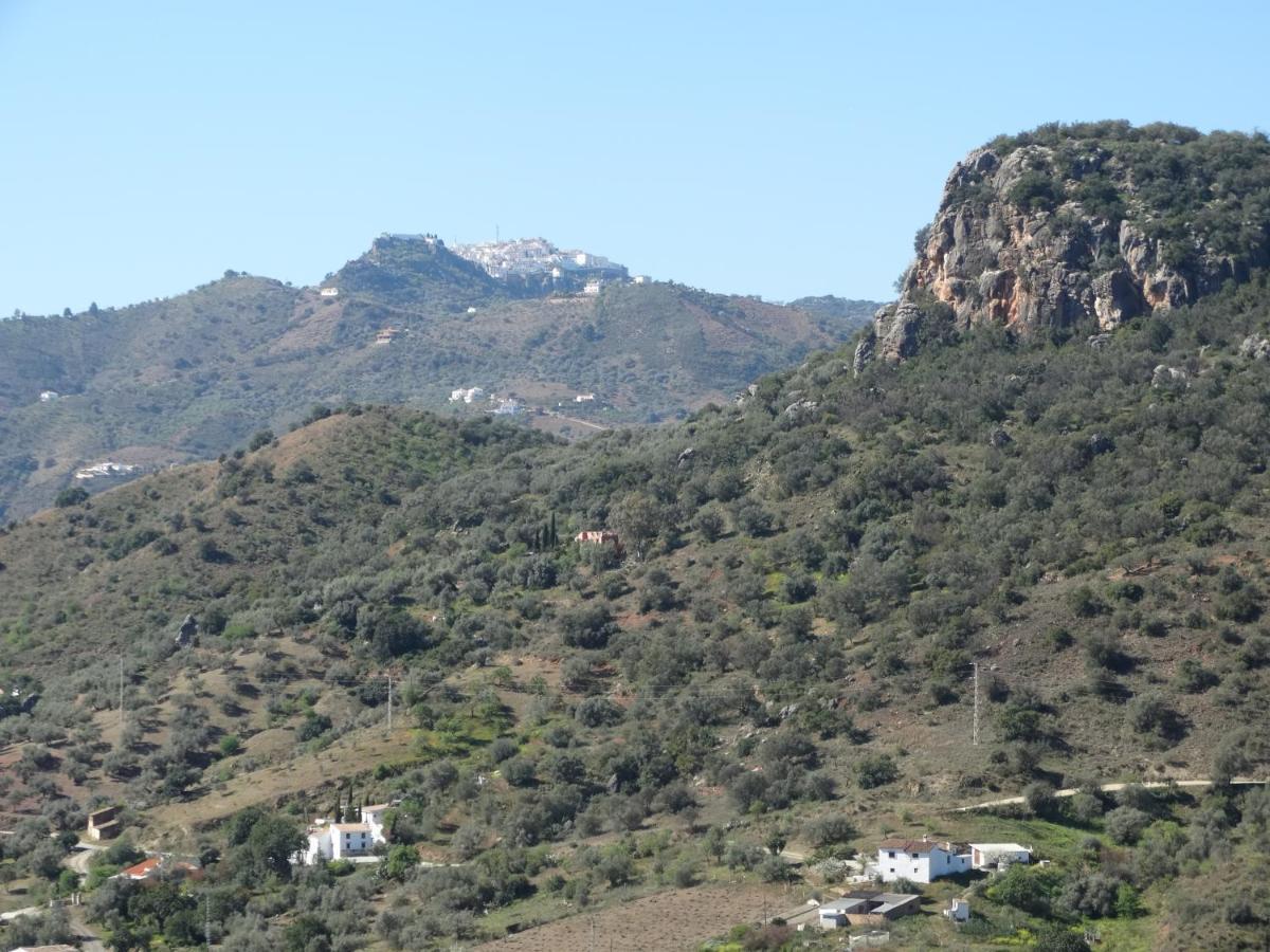 B&B Cortijo Loma Leon Cutar Dış mekan fotoğraf