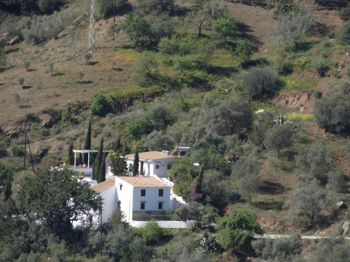 B&B Cortijo Loma Leon Cutar Dış mekan fotoğraf