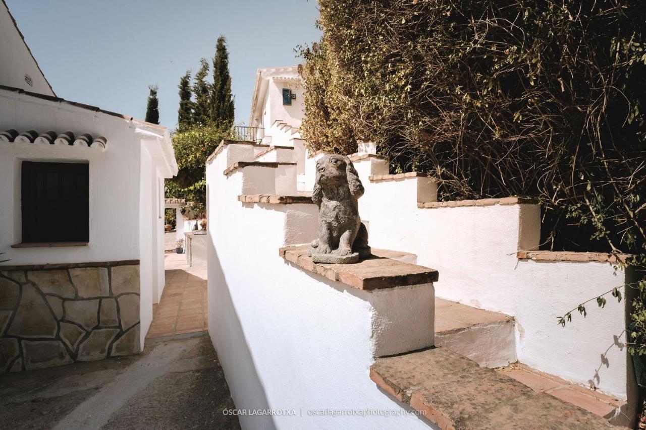 B&B Cortijo Loma Leon Cutar Dış mekan fotoğraf