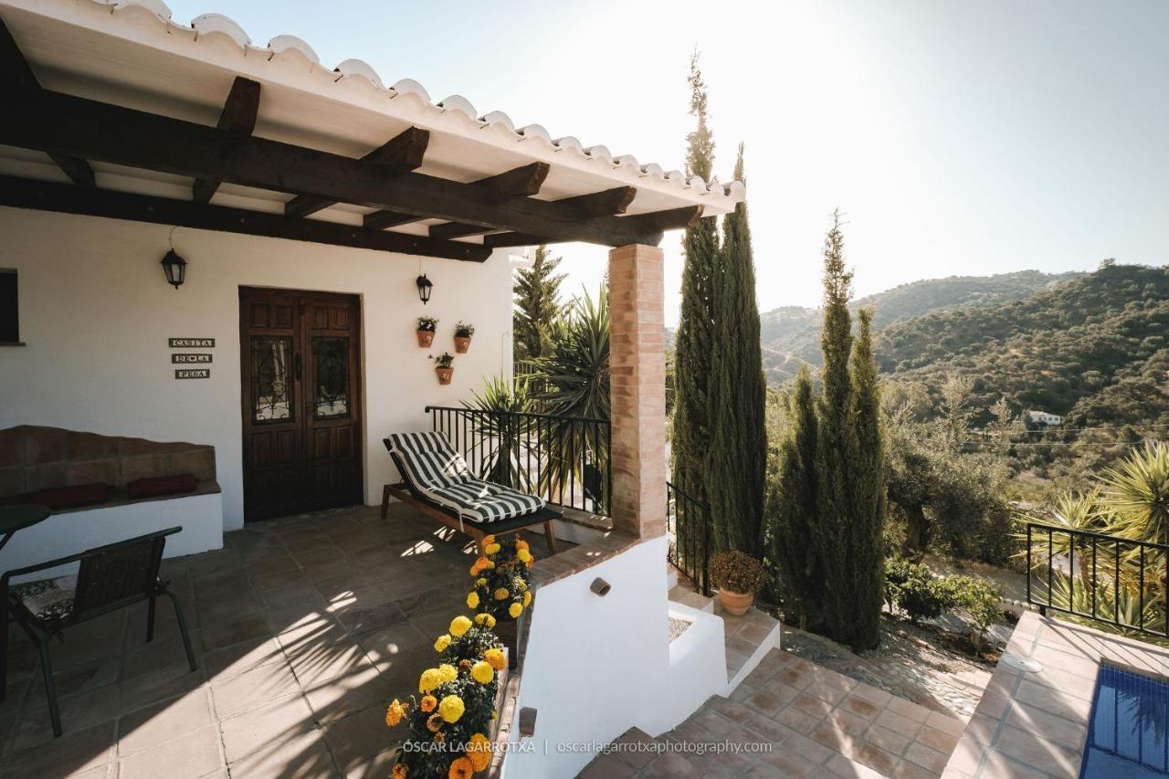 B&B Cortijo Loma Leon Cutar Dış mekan fotoğraf