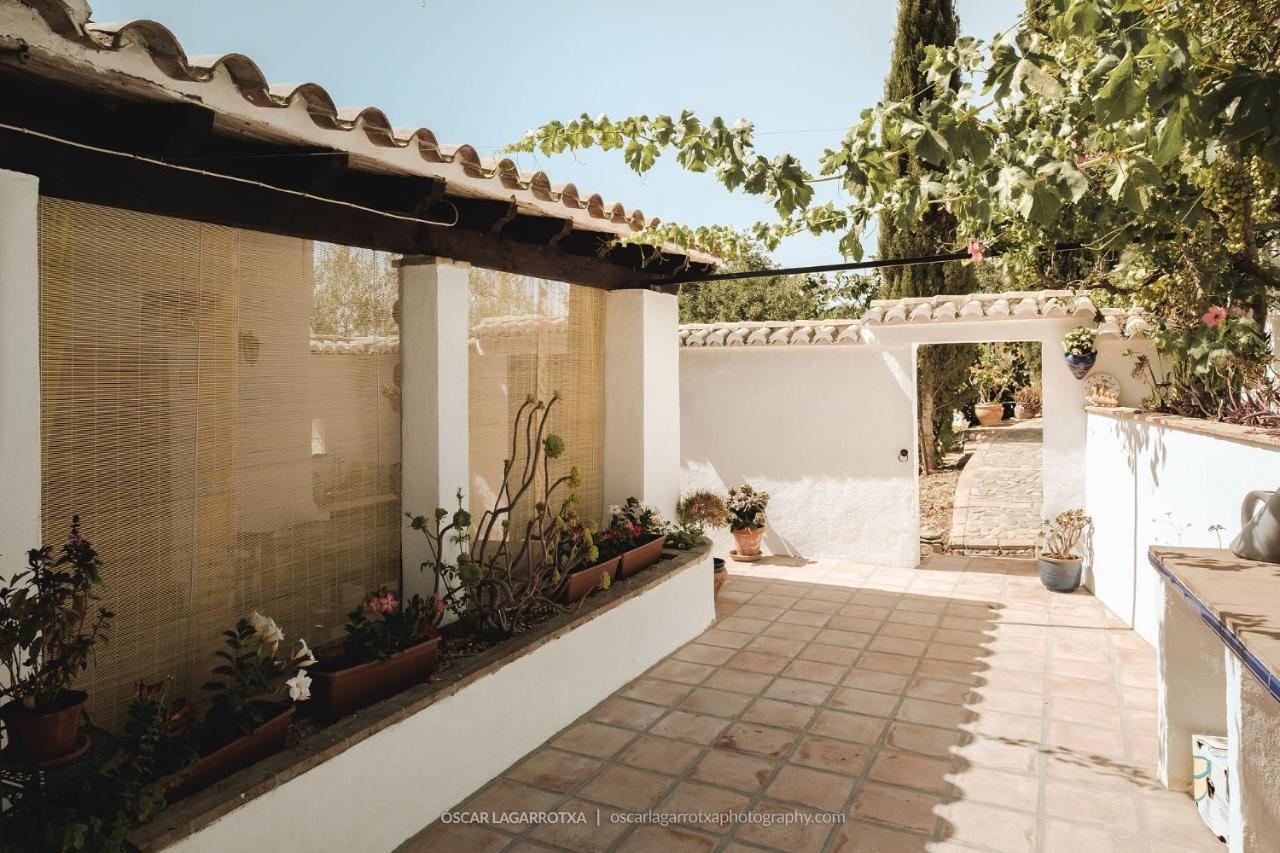 B&B Cortijo Loma Leon Cutar Dış mekan fotoğraf